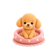 Fluffy Toy Poodle Polite