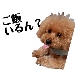 tadoppi