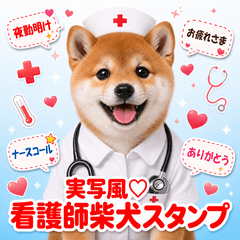 Cute Nurse Shiba Inu Stickers