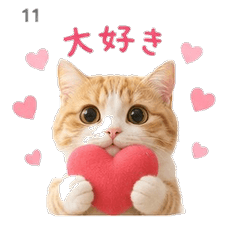 Chubby Cat Everyday