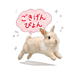 With Hikaru 40 Stickers