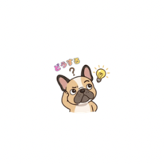 French Bulldog Love2026