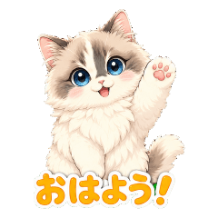 WARASHI  original