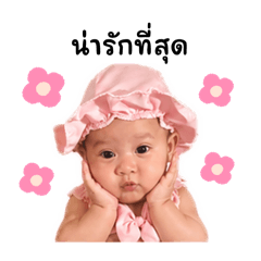 baifernsrvm_20260428133855