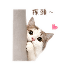 黑糖漢堡包5