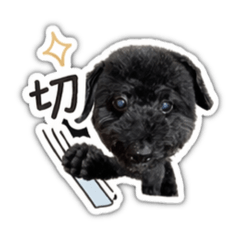 狗狗勾勾勾-3