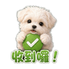 馬爾濟斯～阿噗