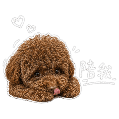 巧巧最乖巧