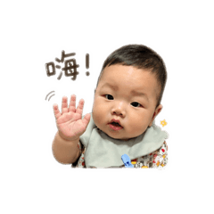 小蒜頭2.0