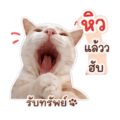 shinchan copy_20260430114420