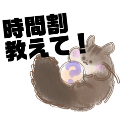 MoCoCo_20260504094859