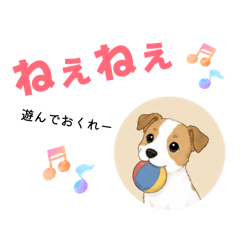 pi pi_20260504183745