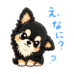 koko_20260504181721