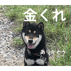 kiniku_20260504184732