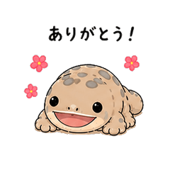 Oo-chan the Giant Salamander