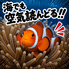 Weird Sea Fish Stickers 2!!