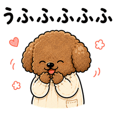 Fluffy Toy Poodle Easygoing Days