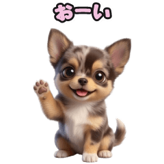 Maruky's LINE Stickers 247