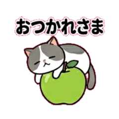 a green apple and a calico cat