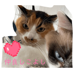 mio97_20260504102955