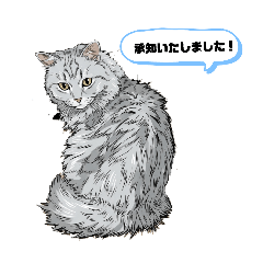 neko_RURU_20260504103321