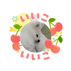 omochi_20260504103258