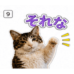 janet_20260504104521