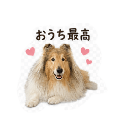 Reo_20260504103406