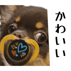 piposuke_20260504104355
