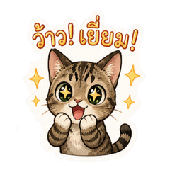 Cute Tabby Cat OK Stickers