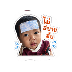 Plam Tippawan_20260428134354