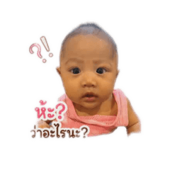 mei_il275_20260428134500
