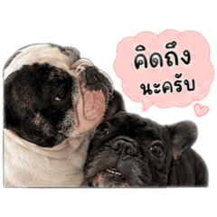 Nomi_20260428134512