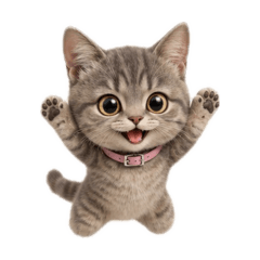 Heng Heng Meow 2