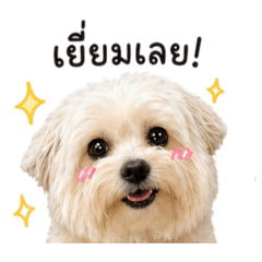RattiyaK_20260428135245