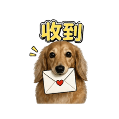 小哈姆姆