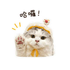 宋皮蛋