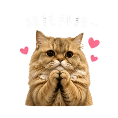 ㄧ登一冷一娜
