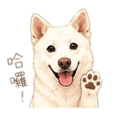 虎頭山的小白