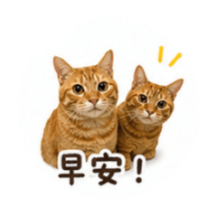 恰恰花生日常貼圖