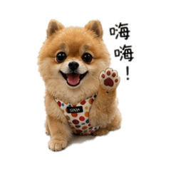 快樂小東❤️