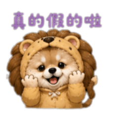 澎澎：動物派對