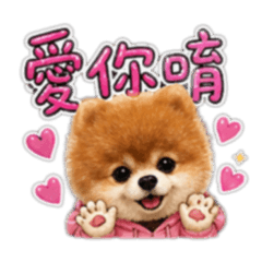 澎澎：日常生活3.0