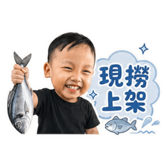 碩碩小老闆來囉