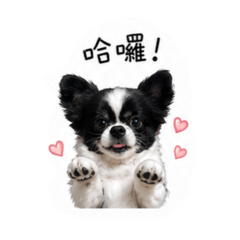 嘟嘟的日記本