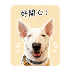 01 丹丹