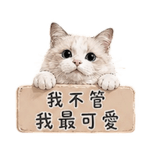 小葵喵事多