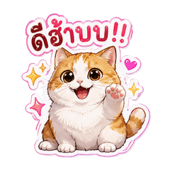 A cute, chubby orange cat.