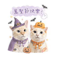 豆米漿漿