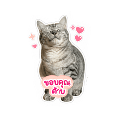 YUME AME Fat